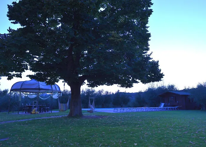 Calderino * 法恩莎